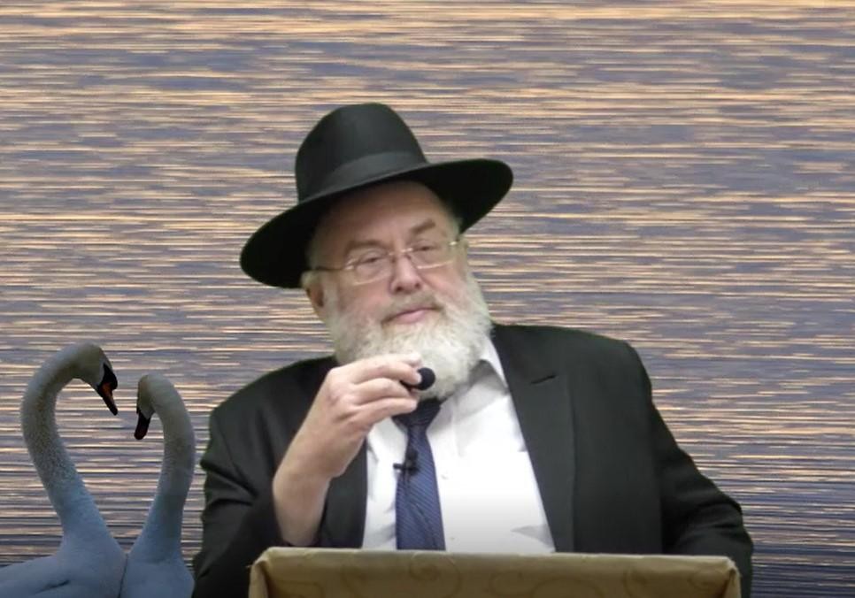 שבת אחרי החתונה! הרב מנחם שטיין בהדרכה לשלום בית
