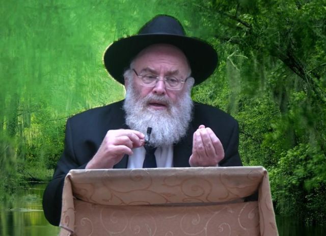 מי זאת יפת תואר של האדם!!  הרב מנחם שטיין 